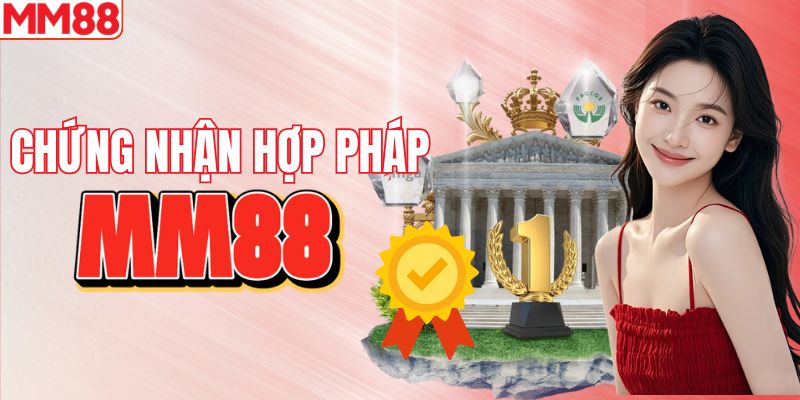 Chứng nhận kinh doanh khẳng định uy tín
